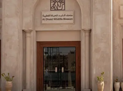al-dhaid-wildlife-museum-resized.webp