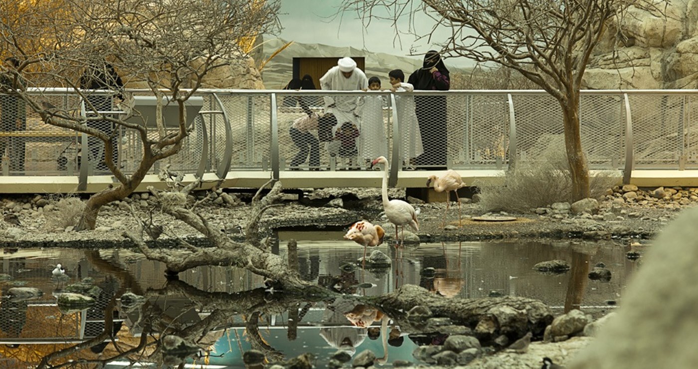 Arabia's Wildlife Centre