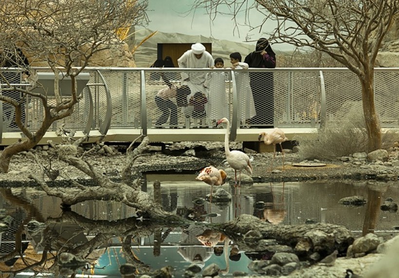 Arabia's Wildlife Centre
