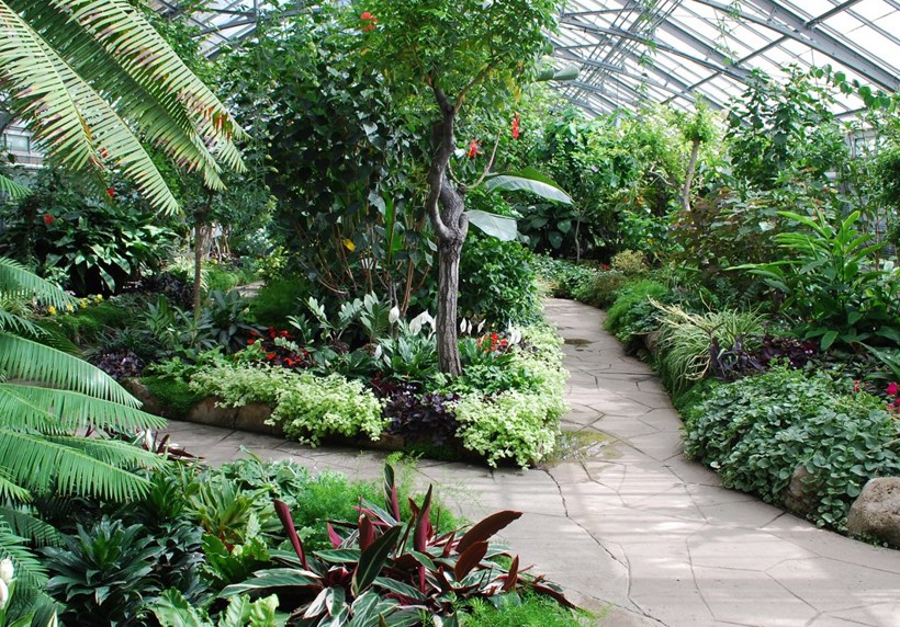 Islamic Botanical Garden