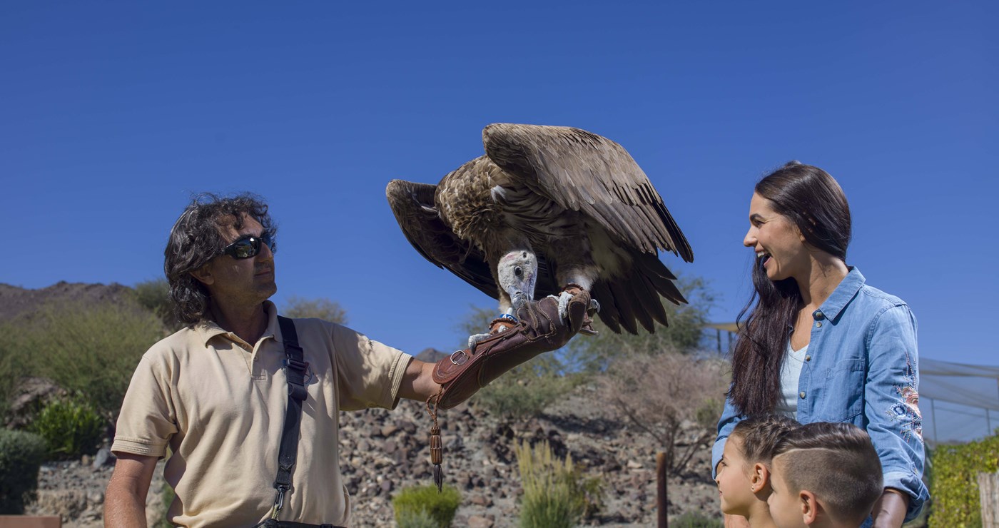 Kalba Birds of Prey Centre