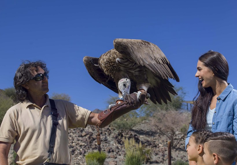 Kalba Birds of Prey Centre