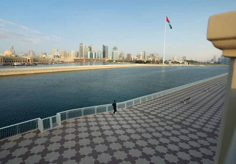 Large DSC03045 1 Copy